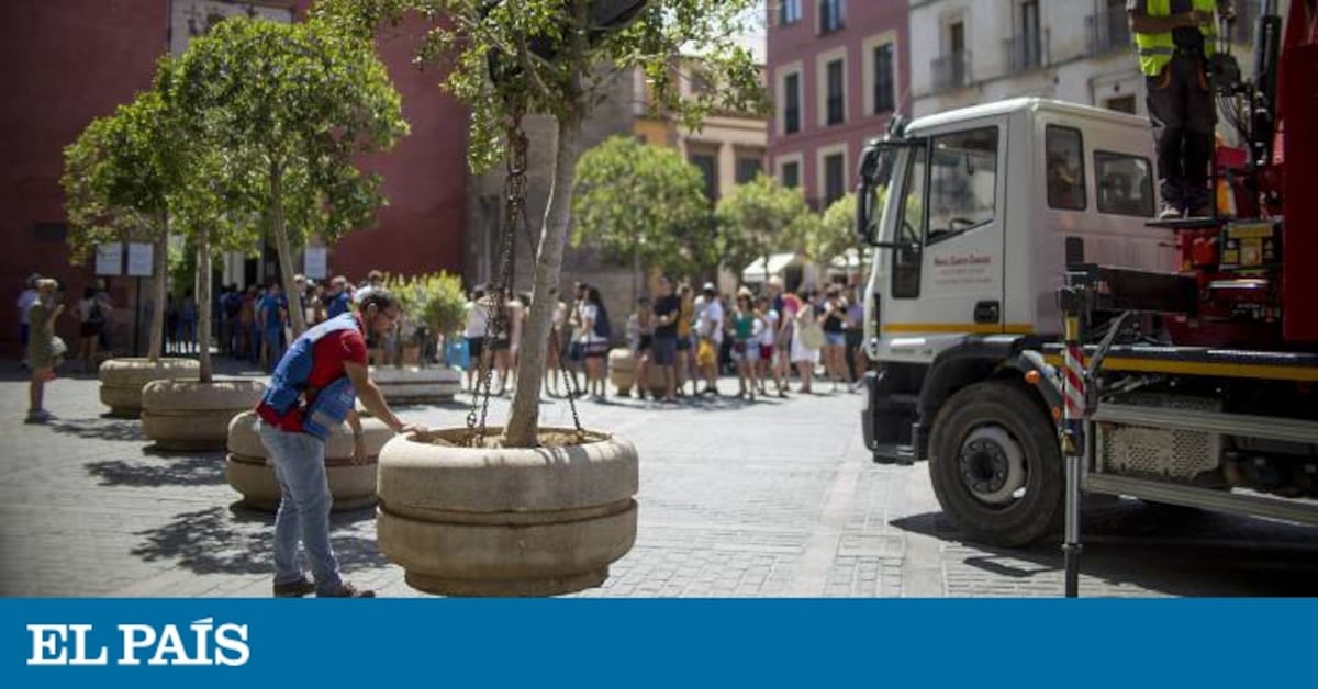 english.elpais.com