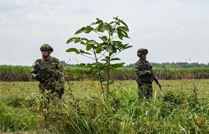 El Gobierno ha condenado las tomas ilegales, y ha advertido que la policía hará desalojos "dentro de las 48 horas siguientes" a la ocupación. En la imagen, dos soldados colombianos vigilan un campo de caña de azúcar en Tetillo, el 31 de agosto de 2022. 