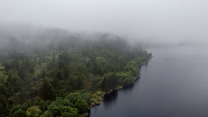 PÁRAMOS ANDINOS. Estos ecosistemas de alta montaña que se extienden por más de 35.000 kilómetros cuadrados de los Andes se caracterizan por su alta biodiversidad y endemismo y tienen un rol fundamental para el almacenamiento de agua. Se estima que son fuente hídrica de 85 millones de personas, entre ellas las poblaciones de Bogotá (Colombia) y Quito (Ecuador).