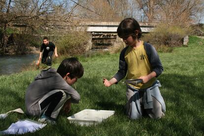 Dos niños investigan la vida en el agua del río Abión.