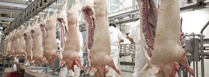 La inmigración italiana popularizó embutidos como la mortadela y el salame en la mesa de los argentinos.