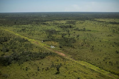 La reserva de la biosfera del Parque Nacional del Tigre, en Petén, deforestada y convertida en corredor habitual para organizaciones de narcotraficantes.