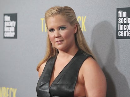 Amy Schumer’s memoir 'The Girl with the Lower Back Tattoo' was flagged by Florida officials for both sexual content and security concerns.