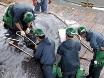 Miembros de una flota de barcos balleneros miden el per&iacute;metro de un cachalote. Regresaron a Jap&oacute;n tras la caza de 158 ballenas. 