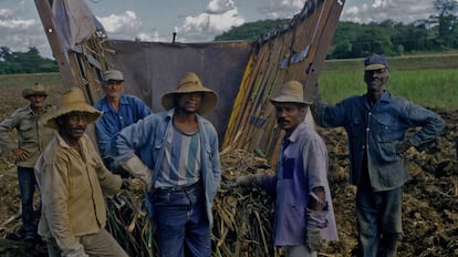 Cortadores de caña, en Cuba.