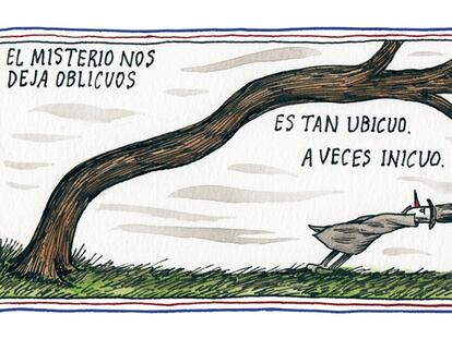 El misterio nos deja oblicuos