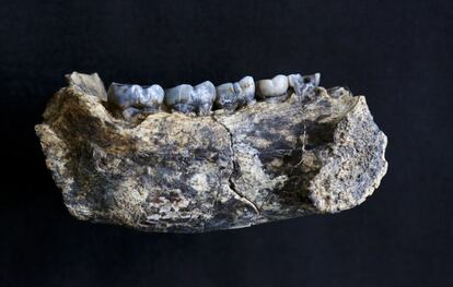 El fósil encontrado en Ledi-Geraru es la mitad izquierda de la mandíbula inferior de un humano.