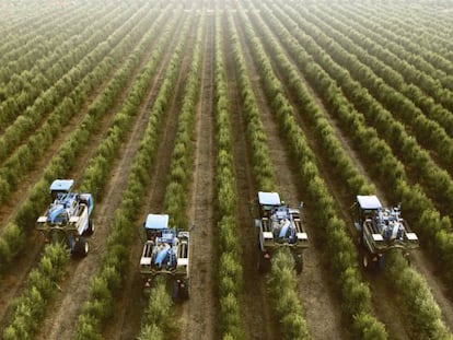 El fondo árabe Investcorp vende el mayor vivero de España a la familia gala Despature