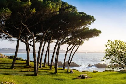 Jardines de la península de La Magdalena en Santander (Cantabria).