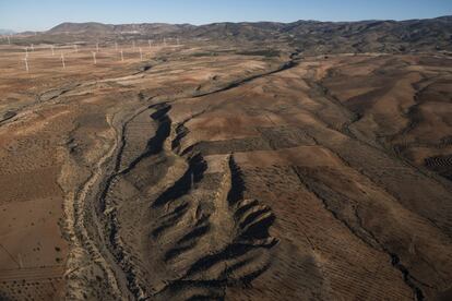 “Existen evidencias palpables de que hay desertización, no solo en base a modelos científicos sino que ya se está viendo en el campo, en los cultivos, en los bosques… Se espera una reducción progresiva de precipitaciones que se va a sumar a una mayor evapotranspiración, hasta llegar a fenómenos extremos como largas olas de calor. De hecho, en números, se puede decir que más del 20% del territorio de la península Ibérica ya es un desierto”, explica David Vieites, director del departamento de Cambio Global Centro Superior Investigaciones Científicas (CSIC).