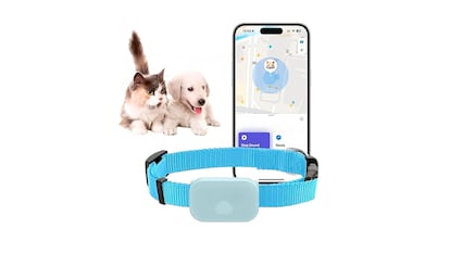 Collares GPS Gato sobre fondo blanco.