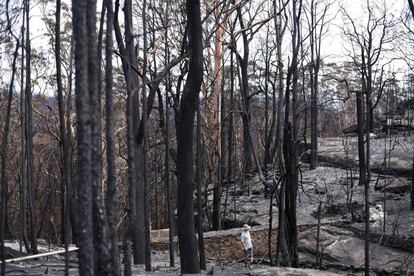 Un hombre pasa por un bosque carbonizado en Nueva Gales del Sur.