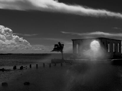 Sombra de Isla, 2017