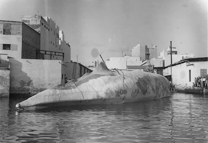 'Moby Dick' nada más ser botada el 29 de diciembre de
1954 en los talleres Hull Blyth. El espacio donde flota es hoy es una
autovía con la pasarela Onda Atlántica que une el puerto de La Luz con
la playa de Las Canteras.