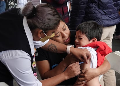 casos tos ferina en mexico