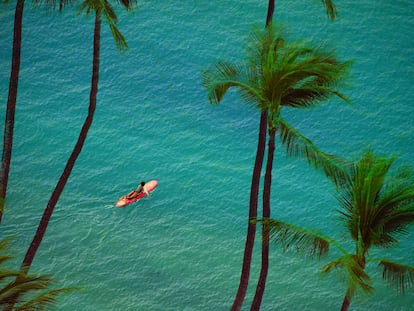 Composite of two photos: Surfer girl paddling out to sea, and palm trees on Waikiki Beach.