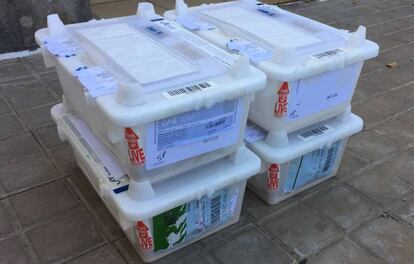 Las cuatro cajas con los ratones, a su llegada a Canarias.