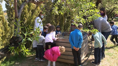 Alumnos y docentes del CEIP Ramón y Cajal, en Alpartir, Zaragoza.