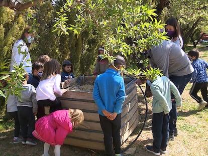 Alumnos y docentes del CEIP Ramón y Cajal, en Alpartir, Zaragoza.