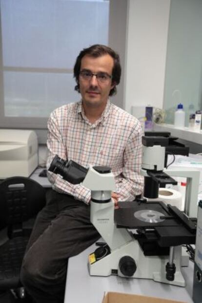 Pablo Menéndez, en el laboratorio.