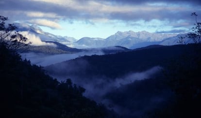 Pauji Yuyo, en el parque nacional Madidi (Bolivia).