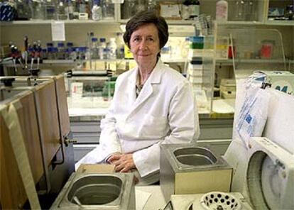 La bióloga Margarita Salas, en un laboratorio del Centro de Biología Molecular Severo Ochoa de Madrid.
