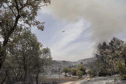Cataluña se enfrenta este jueves a varios fuegos que arden a la vez, en una situación insólita de temperaturas extremas a mediados de junio. Hay tres grandes incendios avanzando descontrolados en Corbera d’Ebre (Tarragona), Artesa de Segre (Lleida) y Castellar de la Ribera, en el Solsonès, provincia de Lleida. En la imagen, la zona quemada en los alrededores de Baldomar (Lleida).