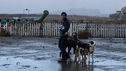 Un fotograma de 'Dogman', con Marcello Fonte.