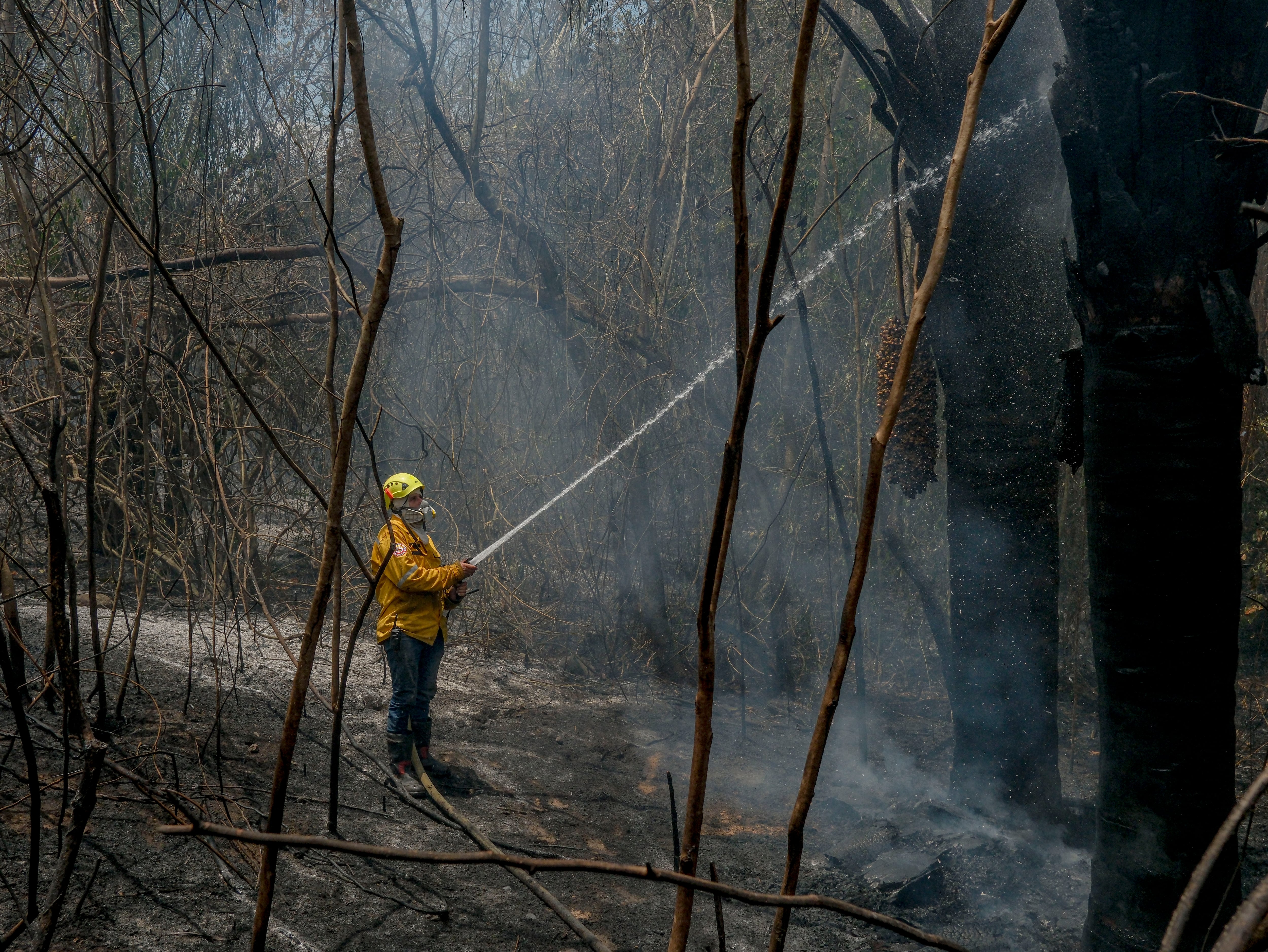 En el epicentro de los incendios que abrasan a Colombia: “Tenemos que prepararnos para una hambruna y una crisis económica”