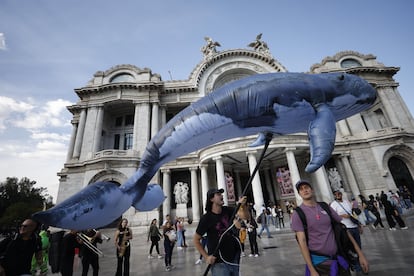 Ambientalistas participan en una manifestación a favor de la protección de la ballena ante el proyecto Saguaro, en enero de 2025 en Ciudad de México.