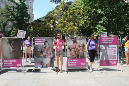 Concentración frente al Congreso de la asociación PETRA para reclamar la protección de los procesos sexuales y reproductivos con medidas políticas que protejan las necesidades reales de las madres y de los bebés, el pasado 18 de abril.