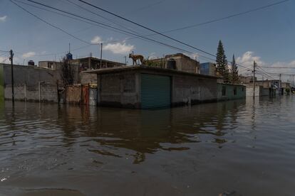 A flooded street in Chalco, State of Mexico.