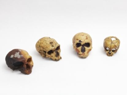 Los neandertales conformaron la especie ‘Homo’ más cercana a la nuestra. Desaparecidos hace unos 40.000 años, los últimos habitaron la península Ibérica.
