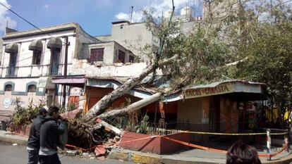 En la avenida Circunvalación, cerca de la zona comercial de La Merced, un árbol cayó sobre una taquería.