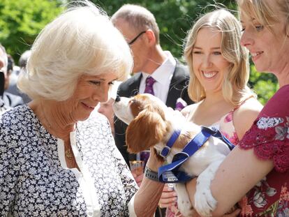 Camila Parker-Bowles celebraba el jueves, en su residencia londinense de Clarence House, un homenaje a una sociedad protectora de animales.