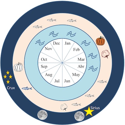 Cronograma de los cultivos, representados con una calaba y algodón, (la siembra en blanco y negro y cosecha en color) y las épocas de pesca, representada con un pez, (desove en color) en el valle del Supe y la costa, los meses de crecida y los fenómenos astronómicos relevantes. Las lunas indican el período de visibilidad de la Luna llena antes y después del solsticio de junio, en la sección sureste del horizonte. Las estrellas señalan el ascenso helíaco de Sirio y de la Cruz del Sur en Caral.