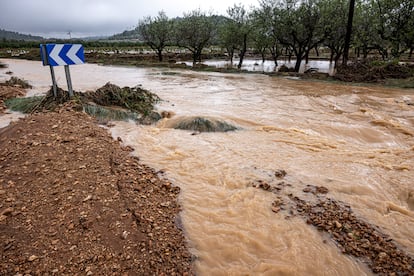 Una carretera que ha sufrido desbordamientos  a causa de las  lluvias torrenciales que afectan a la Comunidad Valenciana, este martes.