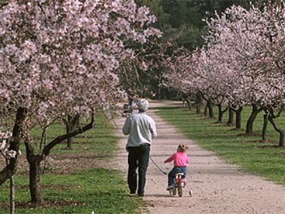 Primavera en el mes de febrero