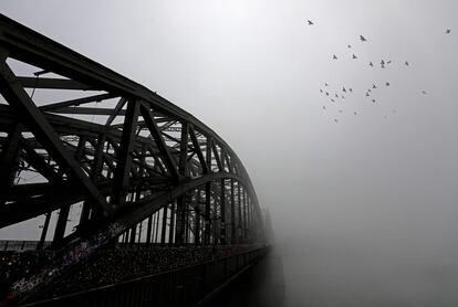 Aves vuelan sobre la niebla en el Hohenzollernbruecke en Colonia (Alemania).