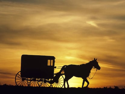 Un carruaje en el condado de Lancaster (Pensilvania), zona donde vive una de las mayores comunidades amish de Estados Unidos. 