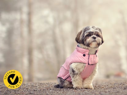 Un perro con chaleco antiestrés en la calle.