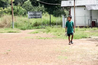 En Amazonas las fuerzas irregulares colombianas controlan los negocios ilegales que prosperan en cuatro de los siete municipios del Estado.