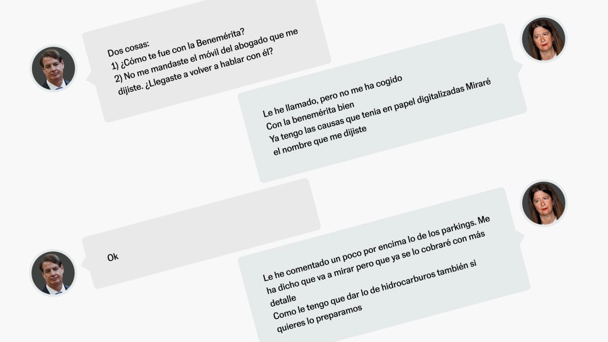 Los chats de Leire Díez con los miembros de la trama para influir en la jefatura de la Guardia Civil: “Tengo amistad con la directora general” | España | EL PAÍS