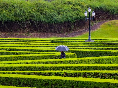 A person strolls in Curitiba's Botanical Garden.