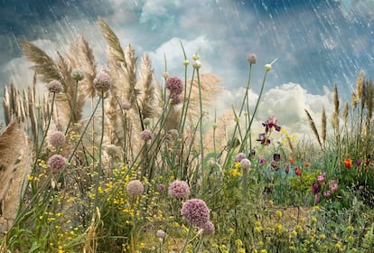 Este artista conceptual, formado en pintura y audiovisuales, recoge en esta imagen un paisaje vegetal artificioso que deja en evidencia la construcción artificial de la que resulta. Cada uno de los elementos parece ser fotografiado de forma independiente y situado en un escenario en el que representa su papel.