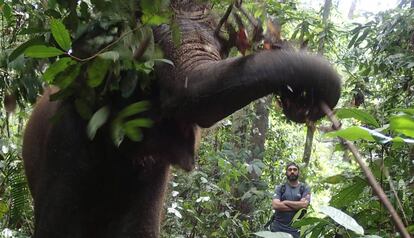 Ahimsa Campos-Arceiz observa un elefante en Malasia.
