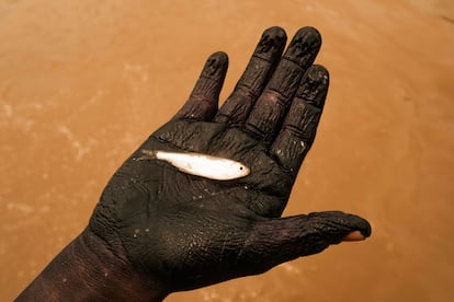 Nelli Birry, de 10 años, es la hija mayor de Liria Cheito. Nelli sostiene un pez que acaba de pescar en la comunidad Emberá Dobida de Puerto Antioquia, Chocó. Su madre intentó suicidarse con su paruma (prenda tradicional de su comunidad), cansada de los malos tratos de su marido.