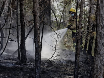 Incendio en Santa Coloma de Queralt, este domingo.