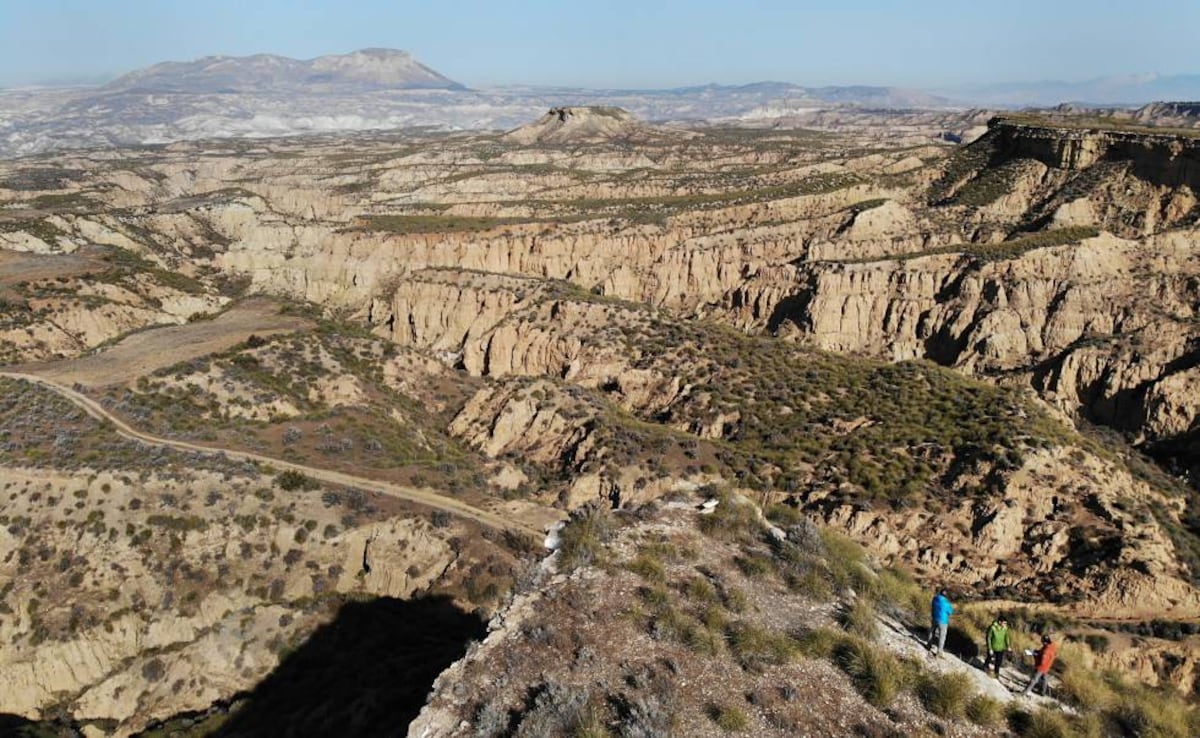 Entrepeneurs in Spain: The herculean task of pushing back the desert in ...