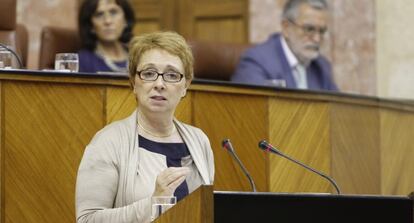 La consejera de Hacienda, Carmen Mart&iacute;nez Aguayo, el pasado d&iacute;a 10 en el Parlamento.